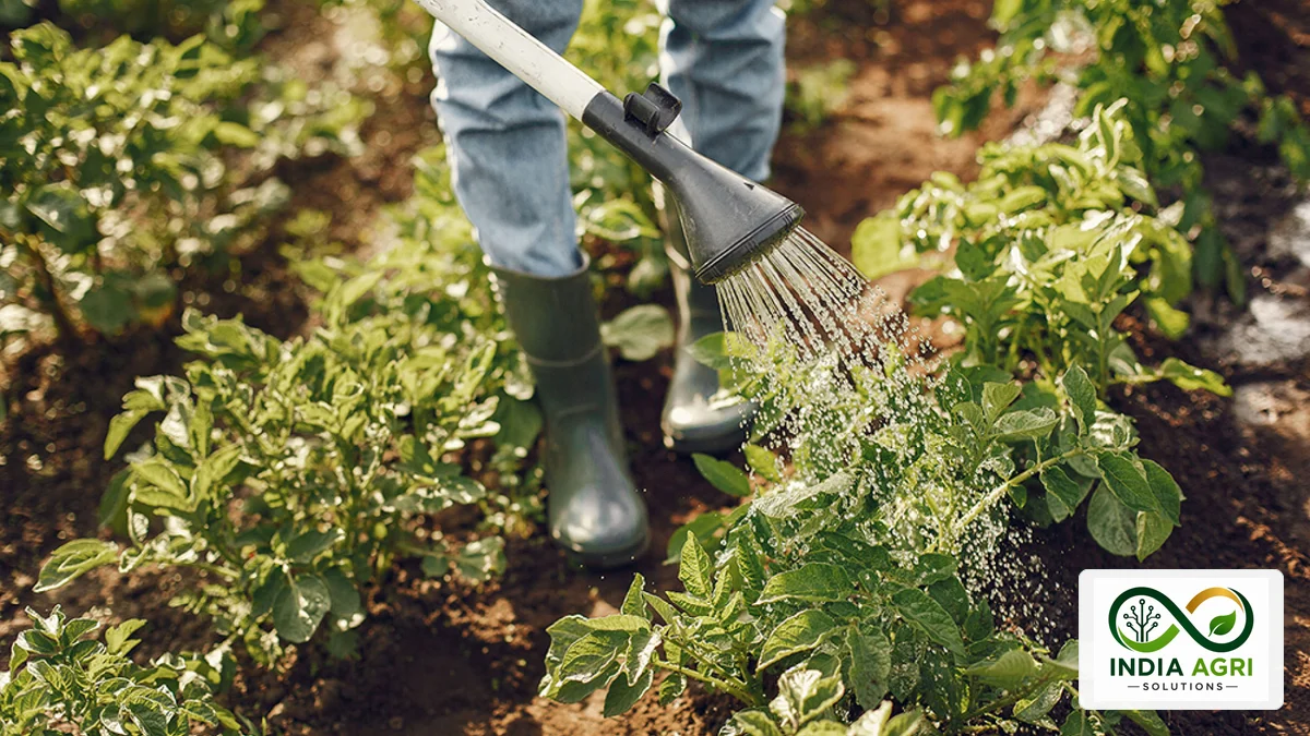 Seed Manufacturing vs Wholesale vs Retail License